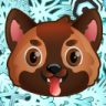 Akita1